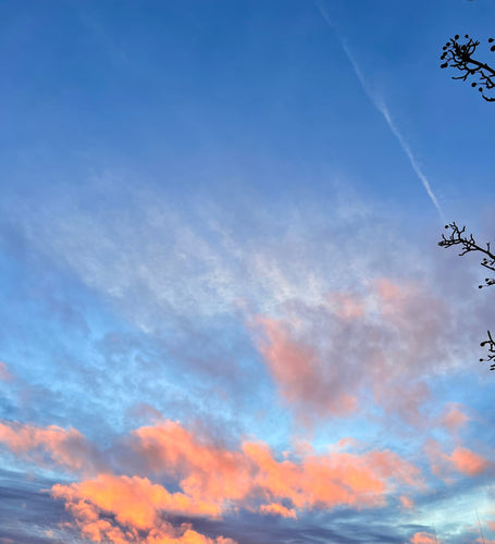 When the Storm Comes Ashore: Finding Clarity in Life’s Chaos